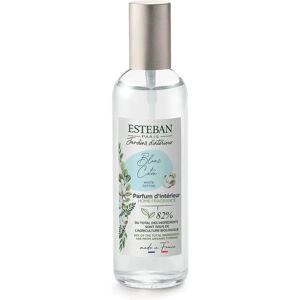 Esteban Paris - Modello 100ML - Fragranza primaverile - Spray Esteban Paris - Modello 100ML - Fragranza primaverile - Spray