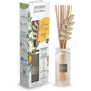 Esteban Paris - Diffuseur de parfum à la fleur d'oranger rechargeable - Parfum d'intérieur - Publicité Esteban Paris - Diffuseur de parfum à la fleur d'oranger rechargeable - Parfum d'intérieur - Publicité