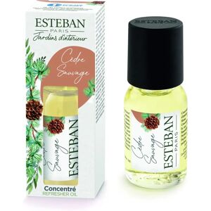 Esteban Paris Concentré Cèdre Sauvage - Parfum Concentré pour Diffuseurs - Publicité Esteban Paris Concentré Cèdre Sauvage - Parfum Concentré pour Diffuseurs - Publicité