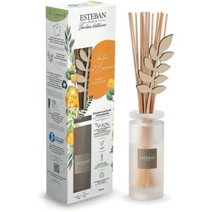 Esteban Paris Diffusore Ambre - Diffusore - 100ml Esteban Paris Diffusore Ambre - Diffusore - 100ml