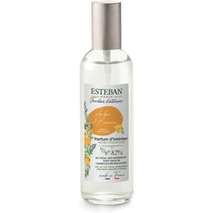 Esteban Paris 100ml Ambre & Baumes Spray - Profumatore ambienti Esteban Paris 100ml Ambre & Baumes Spray - Profumatore ambienti