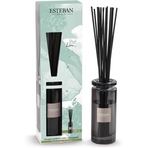 Esteban Paris - Bouquet Profumato Pur Lin 100ML - Raumduft Esteban Paris - Bouquet Profumato Pur Lin 100ML - Raumduft