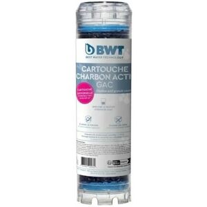 BWT - Cartuccia di Carbone Attivo Granulare - Filtro Acqua BWT - Cartuccia di Carbone Attivo Granulare - Filtro Acqua