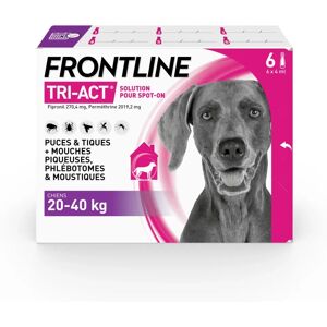 Frontline Tri-Act L Pipette pour Chiens - Grand 20-40kg - 12 Mois de Protection - Publicité Frontline Tri-Act L Pipette pour Chiens - Grand 20-40kg - 12 Mois de Protection - Publicité