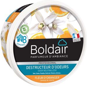 Boldair PV56075102 Désodorisant - Neutralisateur d'Odeurs - 300g - Maison & Voiture Boldair PV56075102 Désodorisant - Neutralisateur d'Odeurs - 300g - Maison & Voiture