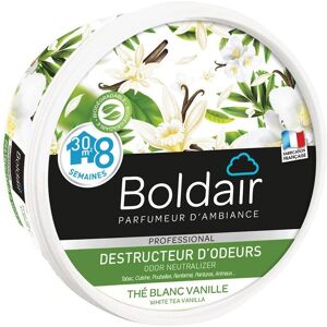 Boldair PV56078601 Désodorisant Solide - Neutraliseur d'Odeurs - Publicité Boldair PV56078601 Désodorisant Solide - Neutraliseur d'Odeurs - Publicité