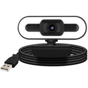 Avizar Webcam 1080P HD Weitwinkel-LED-Licht-Mikrofon - Schwarze Kamera Avizar Webcam 1080P HD Weitwinkel-LED-Licht-Mikrofon - Schwarze Kamera