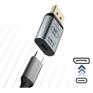 Avizar USB-C Weiblich zu DisplayPort Männlich Video Adapter - Grau Avizar USB-C Weiblich zu DisplayPort Männlich Video Adapter - Grau