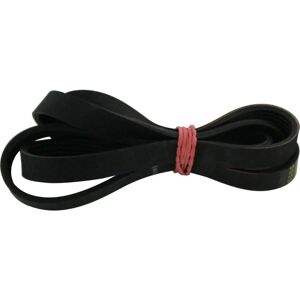 Cinghia Lavatrice Brandt - 52x5974mm - Ricambio Resistente Cinghia Lavatrice Brandt - 52x5974mm - Ricambio Resistente