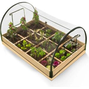 IDMarket Mini Serre de Jardin - 12 Compartiments, Housse Amovible - Publicité IDMarket Mini Serre de Jardin - 12 Compartiments, Housse Amovible - Publicité