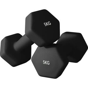SPORTNOW Ensemble de haltères hexagonaux 2x5kg - Haltères - Publicité SPORTNOW Ensemble de haltères hexagonaux 2x5kg - Haltères - Publicité