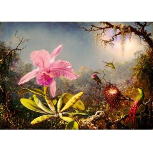 Puzzle Bluebird 1000 pièces - Orchidee Cattleya et trois colibris - Puzzle - Publicité Puzzle Bluebird 1000 pièces - Orchidee Cattleya et trois colibris - Puzzle - Publicité