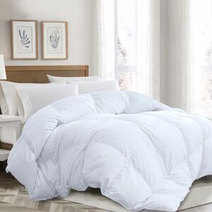 SAMPUR - Piumone Alta Qualità 100% Piuma - 220 x 240 cm - Duvet - Publicité SAMPUR - Piumone Alta Qualità 100% Piuma - 220 x 240 cm - Duvet - Publicité