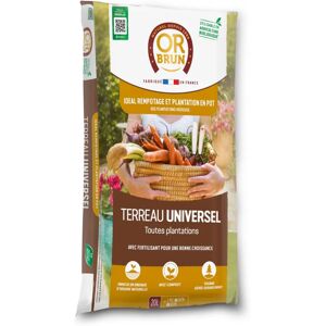 Compost de rempotage Brun - 20 L - Compost de rempotage - Publicité Compost de rempotage Brun - 20 L - Compost de rempotage - Publicité