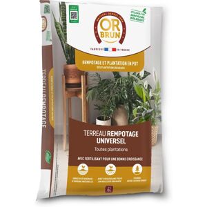 OR BRUN Modèle OBRTREM6U - 6L Terreau universel pour toutes plantes - Publicité OR BRUN Modèle OBRTREM6U - 6L Terreau universel pour toutes plantes - Publicité