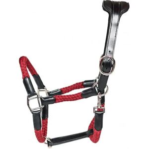 Cavaletti Tara Lederhalfter und Führleine - Cob Cavaletti Tara Lederhalfter und Führleine - Cob