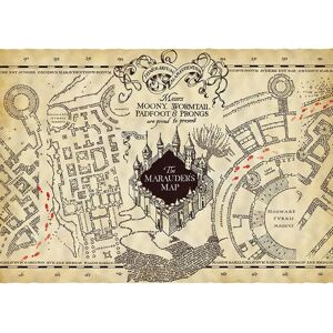 Poster Harry Potter Carte de Marauder - 66x46 cm - Publicité Poster Harry Potter Carte de Marauder - 66x46 cm - Publicité