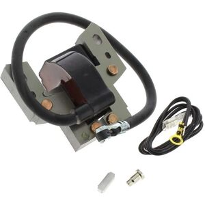 Bobina de encendido Briggs & Stratton 796964 - Para motor cortacésped Bobina de encendido Briggs & Stratton 796964 - Para motor cortacésped