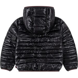 Levi's Kids Sherpa Lined Mdwt Puffer J Black - Sports Jacket Levi's Kids Sherpa Lined Mdwt Puffer J Black - Sports Jacket