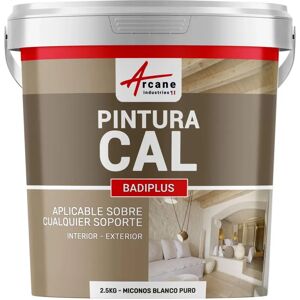 Peinture de chaux blanche Badiplus pour murs intérieurs/extérieurs - Publicité Peinture de chaux blanche Badiplus pour murs intérieurs/extérieurs - Publicité