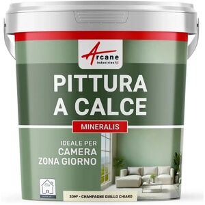 Peinture minérale à la chaux naturelle - Champagne - Jaune clair - Intérieur Peinture minérale à la chaux naturelle - Champagne - Jaune clair - Intérieur