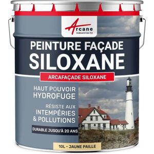Arcane Industries Peinture Siloxano pour Façades - 10L - Publicité Arcane Industries Peinture Siloxano pour Façades - 10L - Publicité