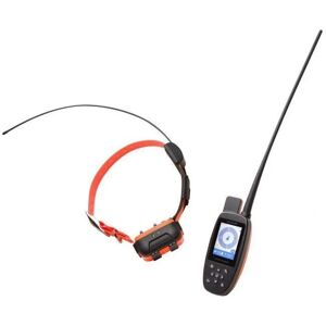 Collier GPS Num'axes & Système d'Entraînement Longue Portée - Chien - Publicité Collier GPS Num'axes & Système d'Entraînement Longue Portée - Chien - Publicité