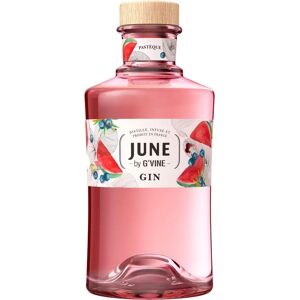 G'Vine June Watermelon Gin - Watermelon, French, Premium G'Vine June Watermelon Gin - Watermelon, French, Premium