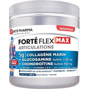 Forté Pharma Forté Flex Max Articulations - Complément alimentaire - Publicité Forté Pharma Forté Flex Max Articulations - Complément alimentaire - Publicité