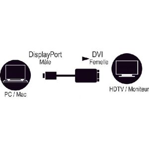 MCL DisplayPort zu DVI Adapter - 0,15m Schwarz MCL DisplayPort zu DVI Adapter - 0,15m Schwarz