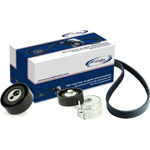 Procodis France Timing Belt Kit - Xsara Picasso, Berlingo, C8 Procodis France Timing Belt Kit - Xsara Picasso, Berlingo, C8