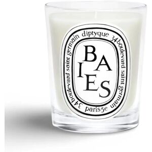 Diptyque Large Indoor & Outdoor Baies Scented Candle - Candle Diptyque Large Indoor & Outdoor Baies Scented Candle - Candle