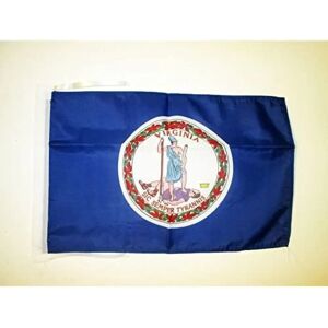 AZ FLAG - Virginia - 45x30 cm - Flag - Publicité AZ FLAG - Virginia - 45x30 cm - Flag - Publicité