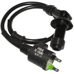 Bobine d'allumage P2R pour SYM HD EVO 125 2003 & Joyride 125 2004 - Maxiscooter Bobine d'allumage P2R pour SYM HD EVO 125 2003 & Joyride 125 2004 - Maxiscooter