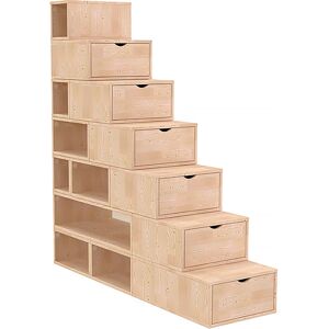ABC MEUBLES Modulares Aufbewahrungsleiter - 175cm - Vielseitig & Umweltfreundlich ABC MEUBLES Modulares Aufbewahrungsleiter - 175cm - Vielseitig & Umweltfreundlich