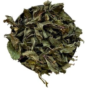 France Herboristerie - Mentha piperita - tisane - Publicité France Herboristerie - Mentha piperita - tisane - Publicité