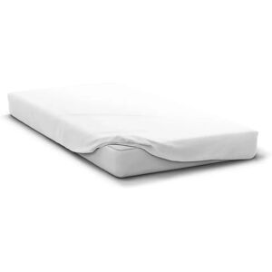 Drap housse HOME LINGE PASSION HP71760 - Microfibre - Publicité Drap housse HOME LINGE PASSION HP71760 - Microfibre - Publicité