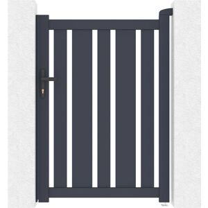 Porte piéton en aluminium Casanoov Veymont - 1m de large, 140cm haut - Publicité Porte piéton en aluminium Casanoov Veymont - 1m de large, 140cm haut - Publicité