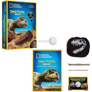 Kit d'Excavation T. rex Bandai - Fossiles & Paléontologie - Publicité Kit d'Excavation T. rex Bandai - Fossiles & Paléontologie - Publicité