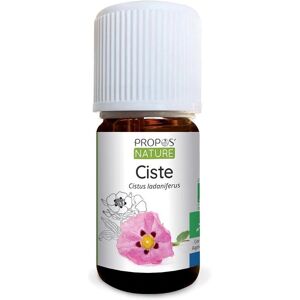 Aceite Esencial de Cistus Orgánico - Aceite Esencial Aceite Esencial de Cistus Orgánico - Aceite Esencial