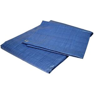 TECPLAST Tente en plastique bleue 4x5 m - Tente de protection - Publicité TECPLAST Tente en plastique bleue 4x5 m - Tente de protection - Publicité