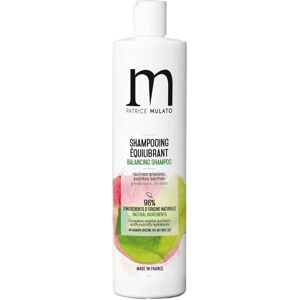 Shampooing équilibrant Flow Air 500ml - Soin capillaire - Publicité Shampooing équilibrant Flow Air 500ml - Soin capillaire - Publicité