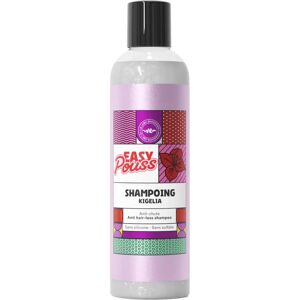 Shandrani Shampoo Croissance Capillaire - Prévention Chute - Publicité Shandrani Shampoo Croissance Capillaire - Prévention Chute - Publicité