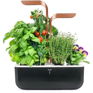 Jardin d'intérieur Véritable SMART Cuivre Noir - Cultivateur d'Herbes & Légumes - Publicité Jardin d'intérieur Véritable SMART Cuivre Noir - Cultivateur d'Herbes & Légumes - Publicité