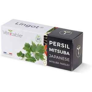 Graines d'Herbes Mitsuba Véritable - Biologiques, Garantie de Germination - Publicité Graines d'Herbes Mitsuba Véritable - Biologiques, Garantie de Germination - Publicité
