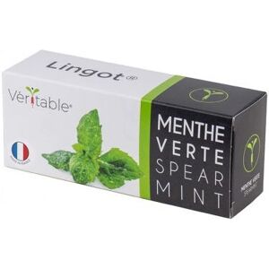 Kit de cultivo de hortelã - Refil orgânico Kit de cultivo de hortelã - Refil orgânico