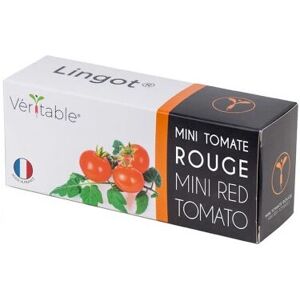 Kit de culture tomate rouge Véritable - Bio, Réutilisable, Intérieur - Publicité Kit de culture tomate rouge Véritable - Bio, Réutilisable, Intérieur - Publicité