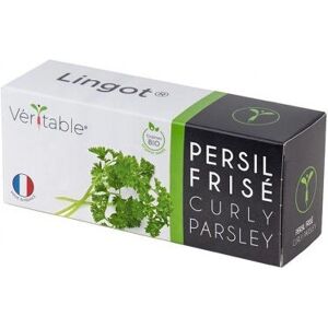 Kit de Croissance de Persil Organique Véritable - Jardin Intérieur - Publicité Kit de Croissance de Persil Organique Véritable - Jardin Intérieur - Publicité