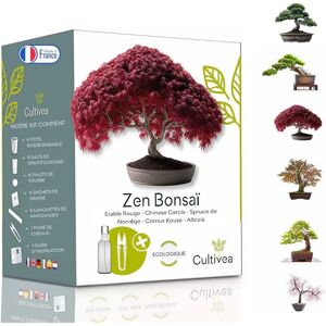 Kadogalerie Kit Mini Bonsai - Ensemble de Cultivation - Publicité Kadogalerie Kit Mini Bonsai - Ensemble de Cultivation - Publicité