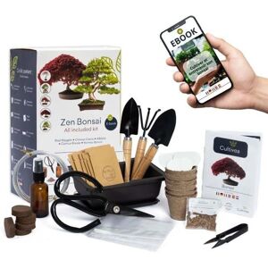 CULTIVEA Kit premium pour bonsai - Outils, fil, engrais - Bonsai Kit - Publicité CULTIVEA Kit premium pour bonsai - Outils, fil, engrais - Bonsai Kit - Publicité